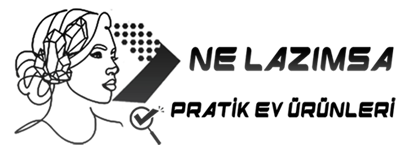 NE LAZİMSA NE LAZİMSA